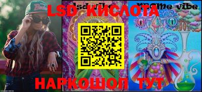 бошки Сланцы