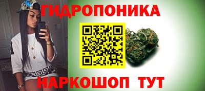 бошки Сланцы