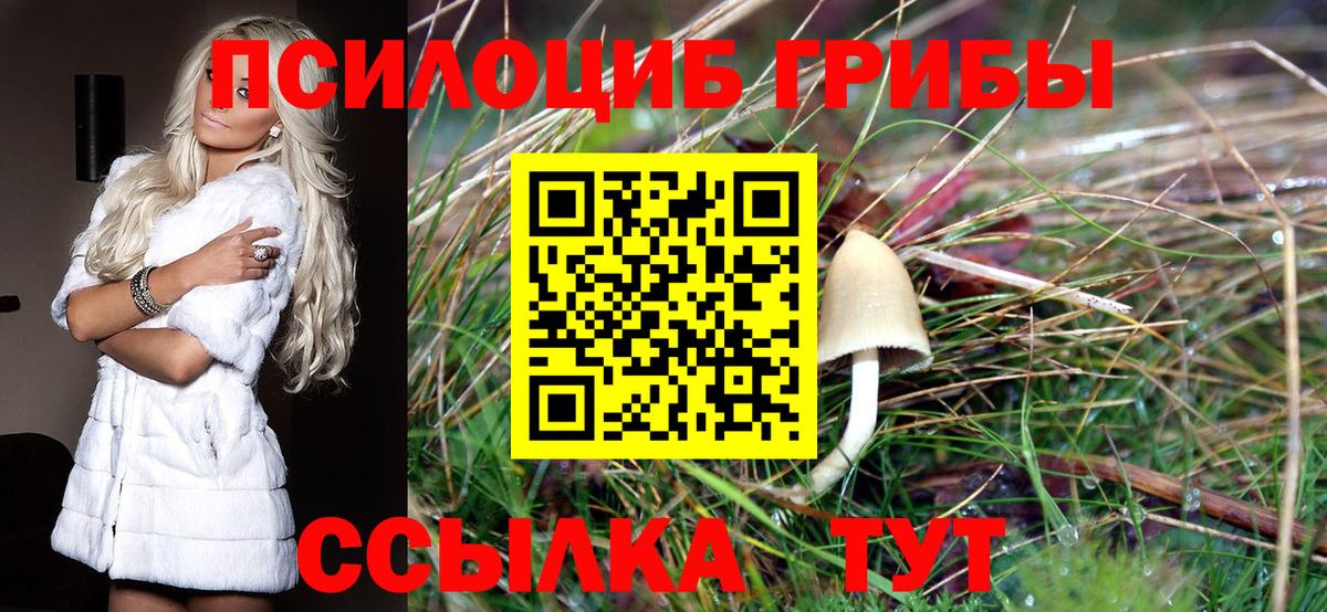 Псилоцибиновые грибы MAGIC MUSHROOMS Новодвинск