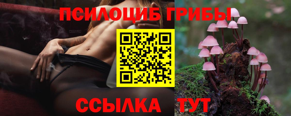 Псилоцибиновые грибы GOLDEN TEACHER  Псилоцибиновые грибы Psilocybine cubensis  Вход с VPN  Новодвинск 